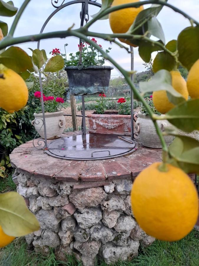 Casa Patti Alle Porte Di Siena Ngoại thất bức ảnh