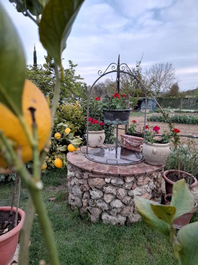 Casa Patti Alle Porte Di Siena Ngoại thất bức ảnh