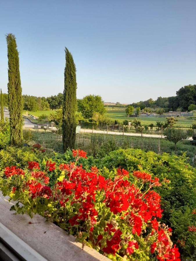 Casa Patti Alle Porte Di Siena Ngoại thất bức ảnh